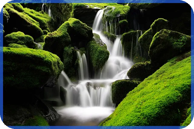 구리시세 전망과 투자 기회는 무엇인가