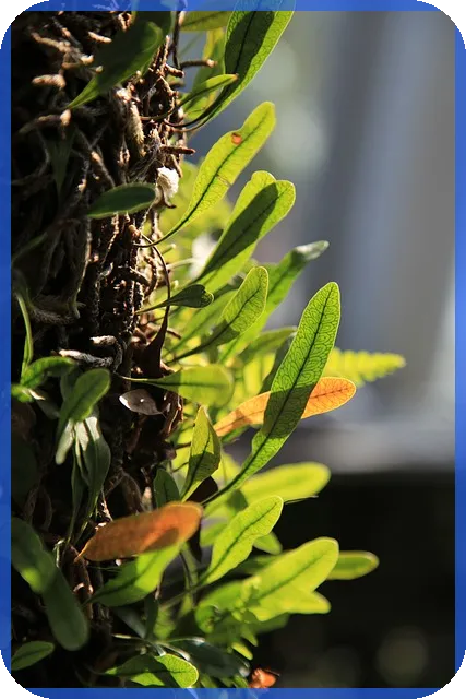 국내우량주 적립식 투자 성과는?