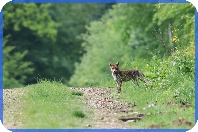 국내우량주 적립식 투자 성과는?