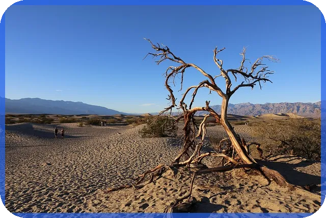 내국민연금으로 안전한 미래를 준비할 수 있을까