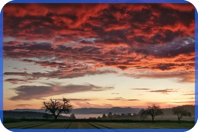 다주택자양도세중과 유예 연장 소식과 그 영향은?