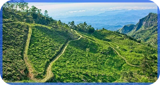 다주택자양도세중과 유예 연장 소식과 그 영향은?