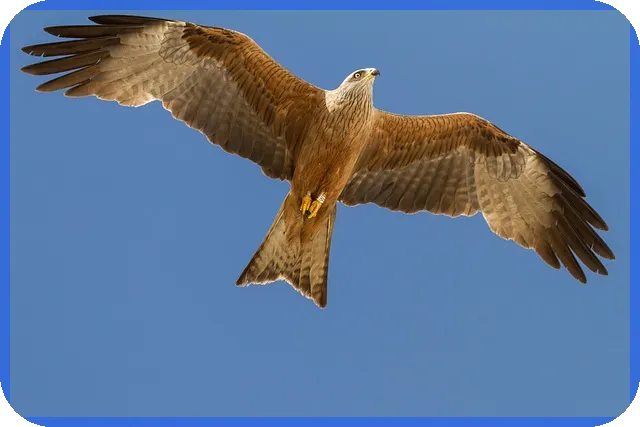 면적평수계산으로 부동산 투자 성공 가능할까