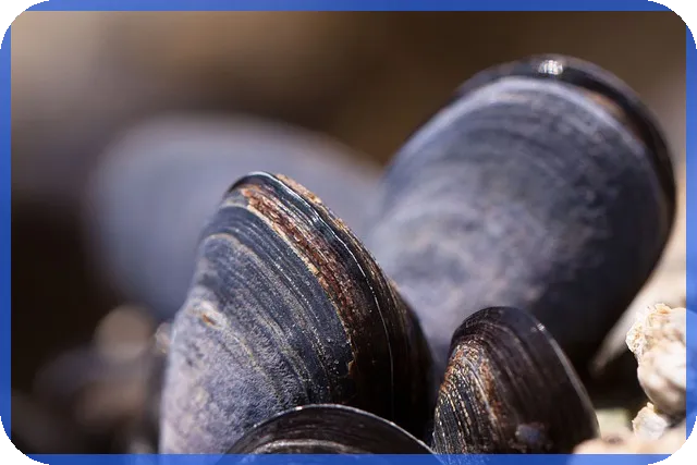 서울청약 2025년 일정 및 전략 안내