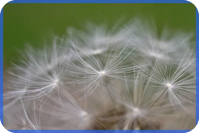 엔비디아관련주 2025년 주식 투자 어떻게?