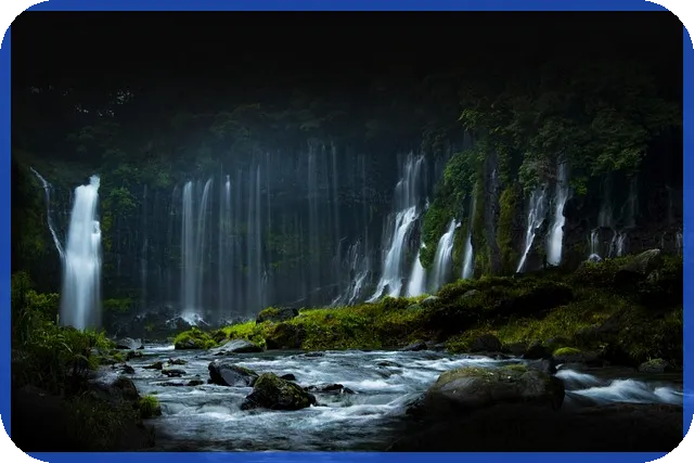 임장뜻 이란 무엇인가 궁금한가요