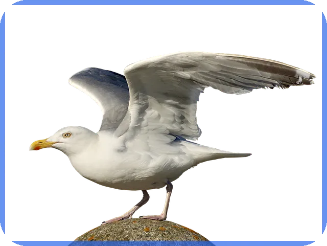 임장뜻 이란 무엇인가 궁금한가요