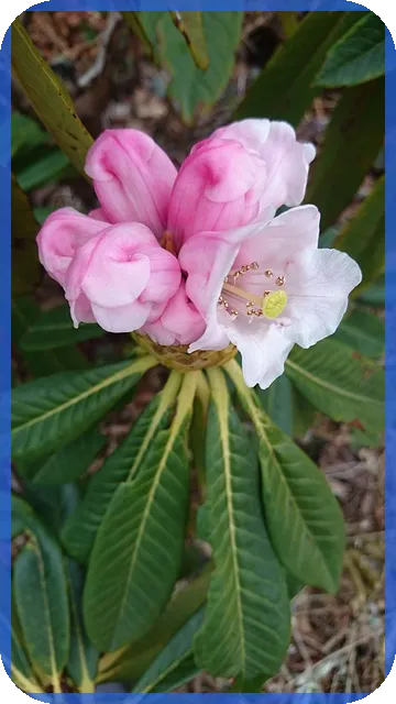 중국etf 수익률 급등 배경은 무엇인가