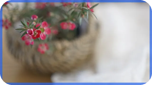 테마주란 무엇인가 주식 투자에 도움이 될까