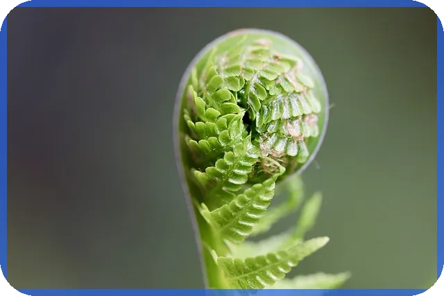 핀테크관련주 투자와 미국 CBDC 실험 확대