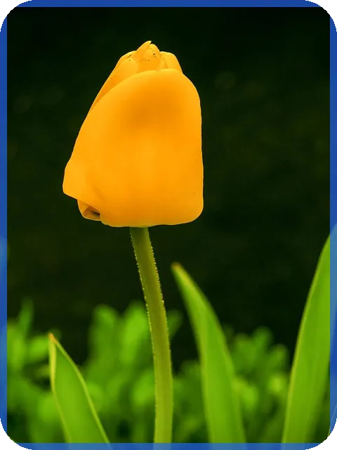 핀테크관련주 투자와 미국 CBDC 실험 확대