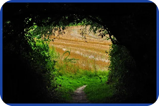 핀테크관련주 투자와 미국 CBDC 실험 확대