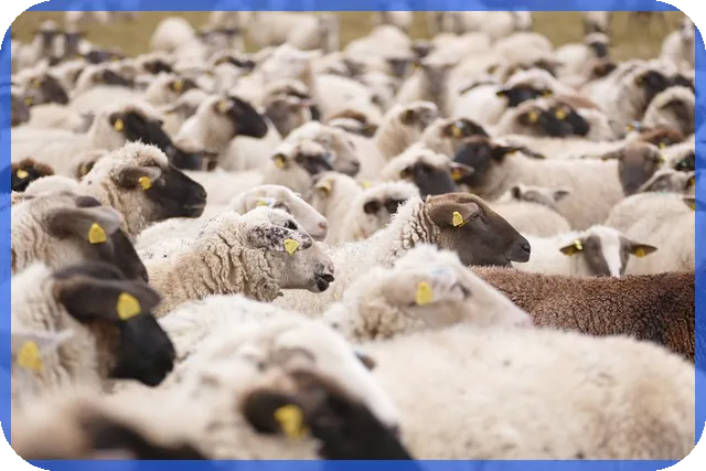 10억모으기 목표 실현하는 현실적 금융전략 알아보기