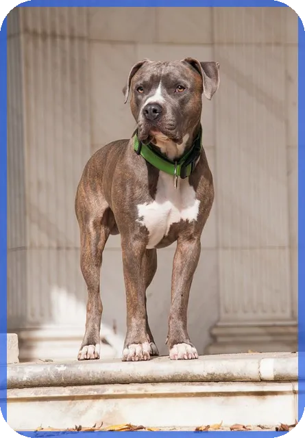 3종일반주거지역 건폐율 용적률 필수 이해와 투자 전략