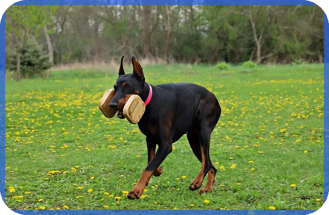 알바종합소득세 필수 가이드 2025세금 신고법은?