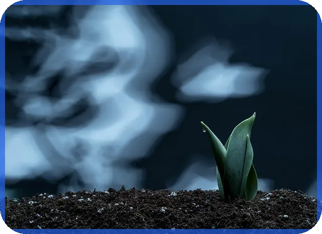 AT&T주식으로 안정적 수익 확보하는 방법은?