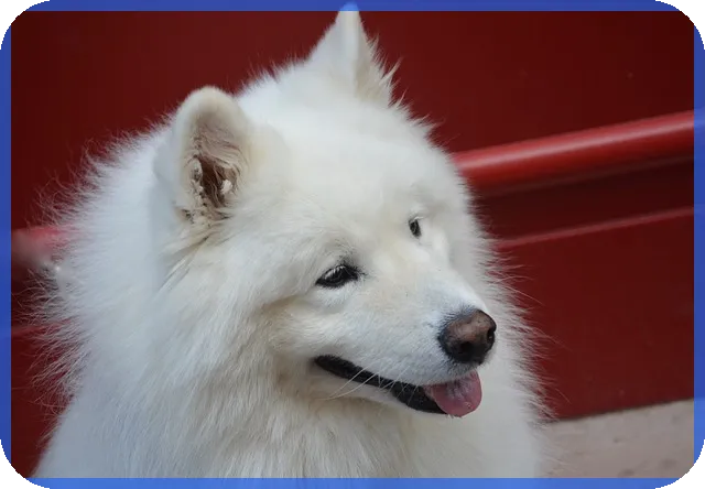 다자녀특별공급점수로 내 집 마련 기회 확대