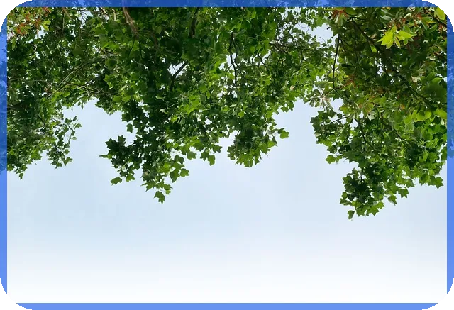 대동공업주가 전망 분석과 투자 가능성은 무엇인가요