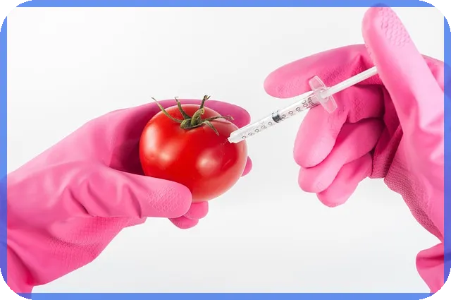마크로젠주가 향후 전망과 투자 전략 분석