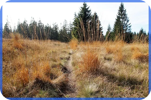 모델하우스에서 보는 일곡공원 위파크 분양 정보