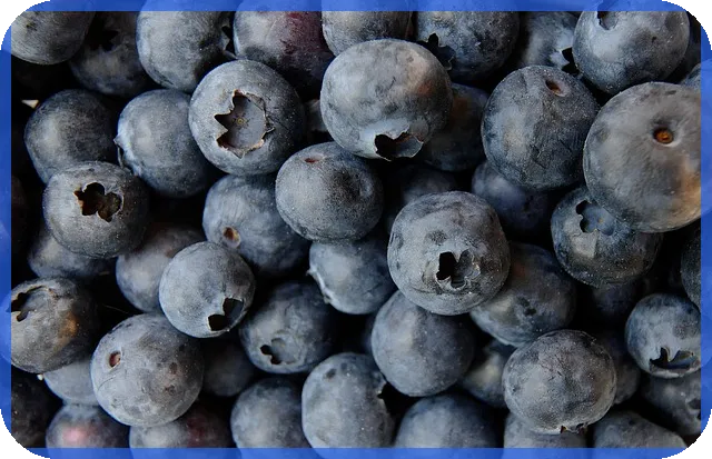 모델하우스에서 보는 일곡공원 위파크 분양 정보