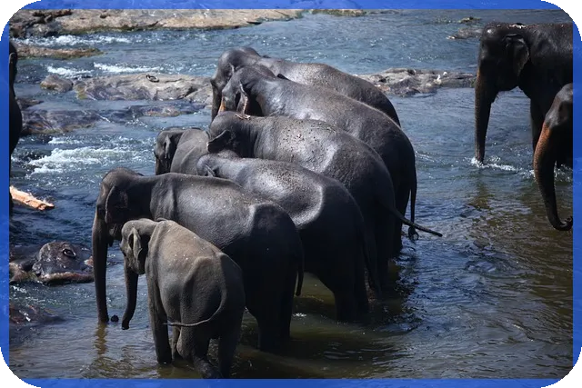 모델하우스에서 보는 일곡공원 위파크 분양 정보