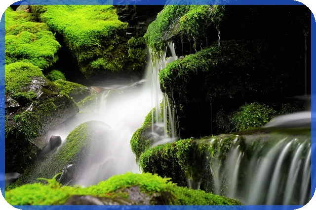 모델하우스에서 보는 일곡공원 위파크 분양 정보