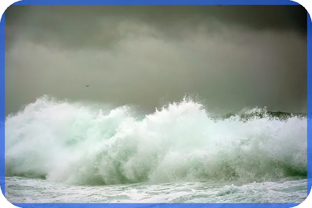 브렌트유 가격과 차이 원리 이해하기