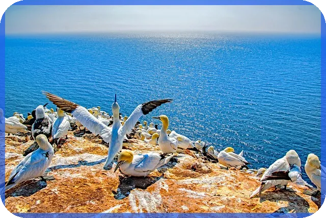 선익시스템주가 전망과 OLED 증착장비 성장 기대