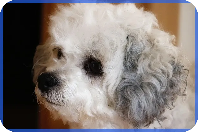 시간선택제 공무원 2025년 채용 핵심 정보와 전략