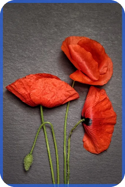 쌍용자동차주가 전망 및 투자 포인트 상세 분석