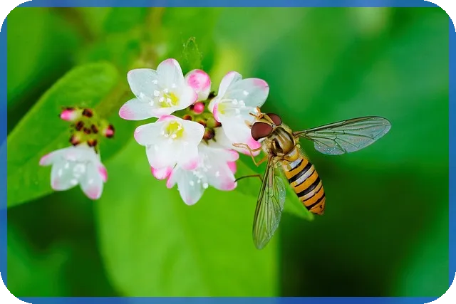 안양역푸르지오더샵 매매와 장식장 팬트리 구조의 특징