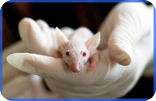 에이프로젠주가 전망과 투자 전략 분석