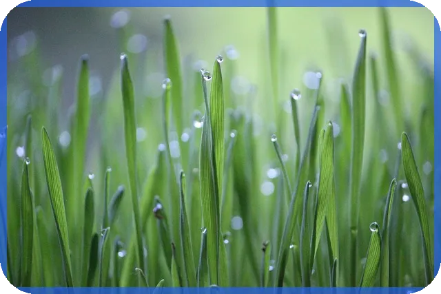 에코바이오주가 앞으로 글로벌 시장과 친환경 트렌드에 어떤 영향을 미칠까