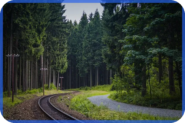 월판선 완공 목표 2028년 어떻게 달성될까