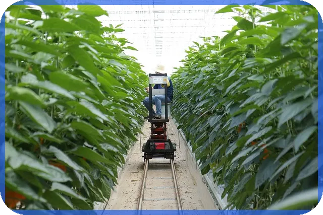 이재명부동산정책 2025 공급 패러다임 전환 전략