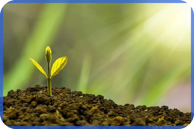 인포뱅크주가 전망과 실적분석 변화는 무엇인가