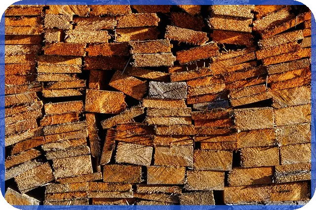 인포뱅크주가 전망과 실적분석 변화는 무엇인가