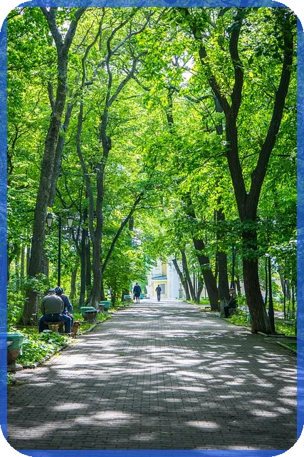 자동차탄소포인트제 신청 가이드와 혜택 알아보기