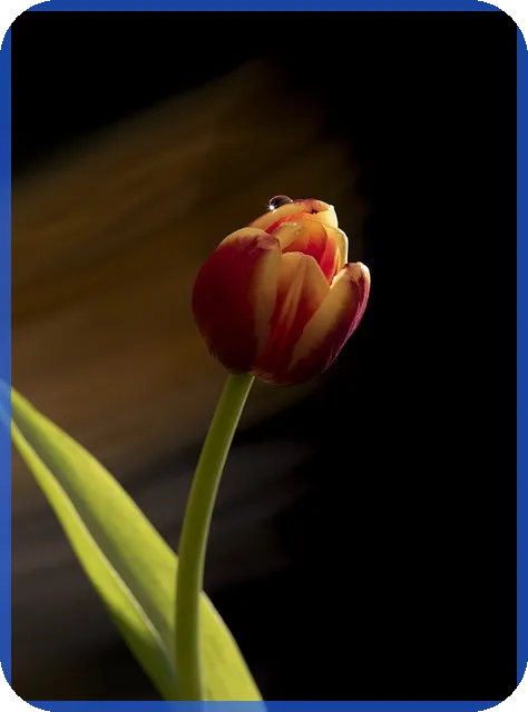 제로금리의 의미와 한계는 무엇인가요