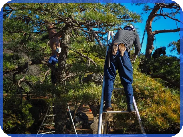 미등기 주택매매세금 반드시 알아야 할 세금 문제와 절세 방법