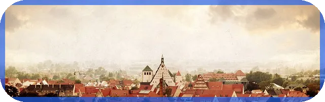 특징주 분석으로 알아보는 2년 최대 거래량 종목 안내