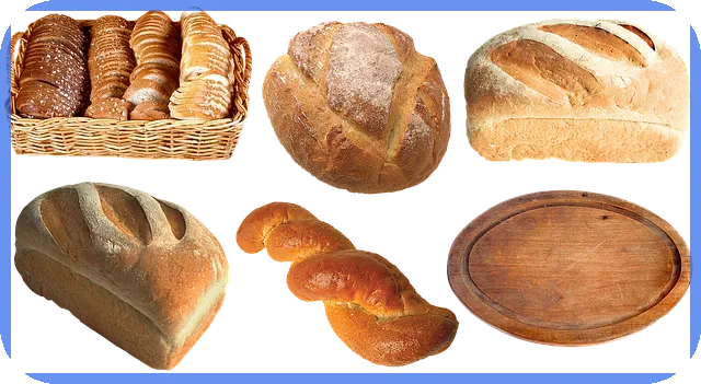 SSGPAY 간편결제 완전 정복 최신 기능과 사용법 관심 집중