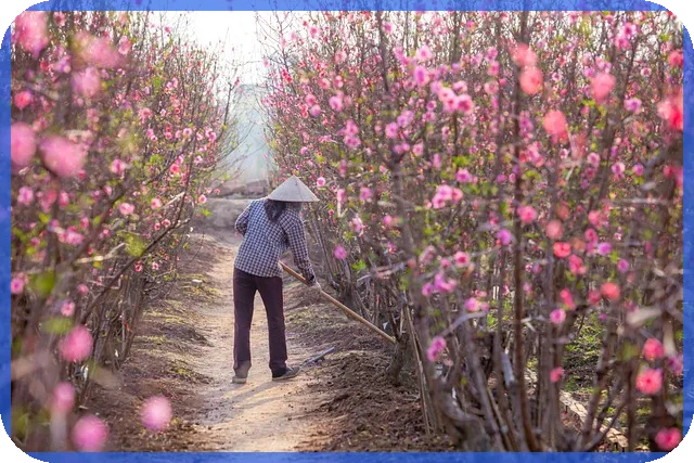 lh전세자금대출조건으로 주거비 절감하는 방법