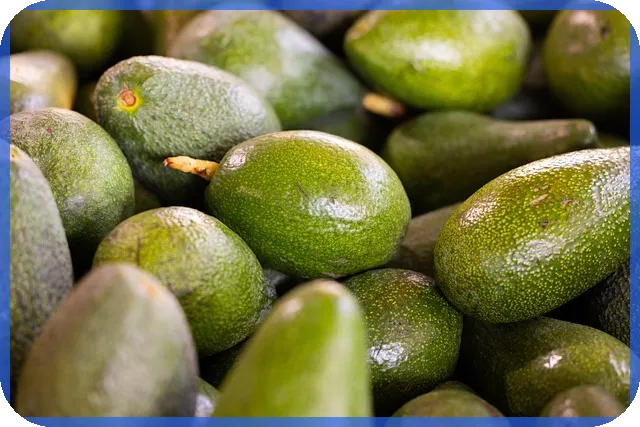 lh전세자금대출조건으로 주거비 절감하는 방법