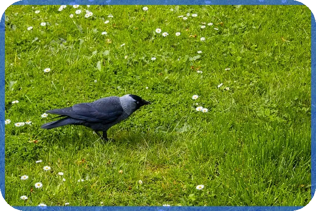 게이트아이오 거래소 초간단 입금 방법과 혜택 확인하기
