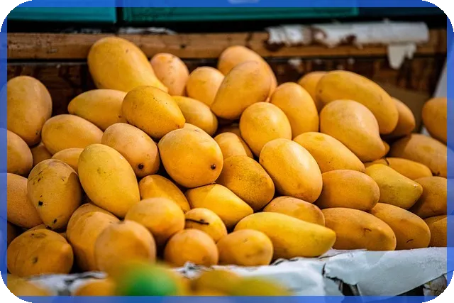 농협 신용대출 금리현황 최신 분석과 전망