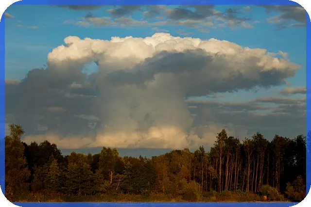 농협은행 전세자금대출 조건으로 안정적 전세자금 마련하기