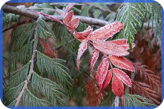 농협은행 전세자금대출 조건으로 안정적 전세자금 마련하기