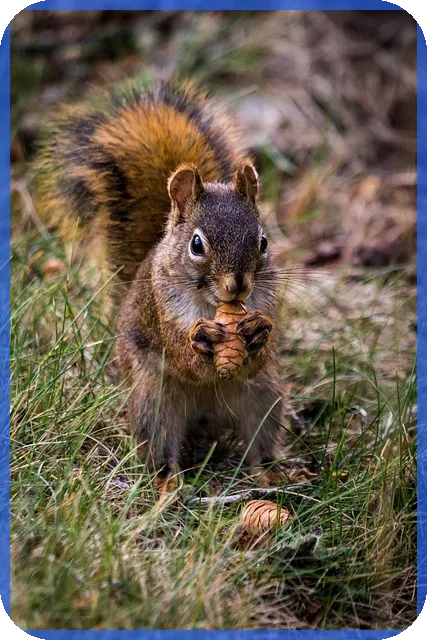 당구장매매 성공전략 및 창업 가이드